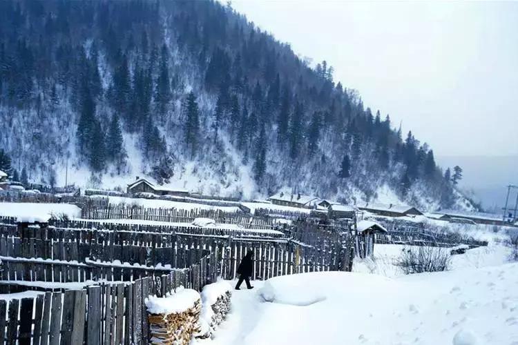 任尔东西南北风全诗隶书作品,任尔东西南北风上一句是啥