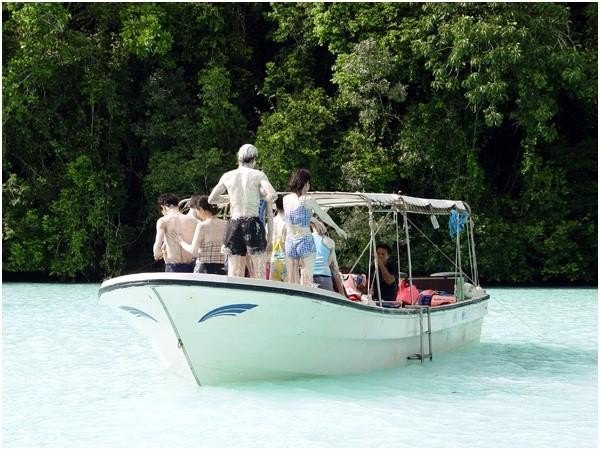 帕劳除了潜水还可以玩什么,在帕劳旅行发现帕劳潜水之美