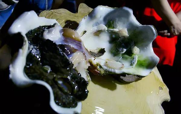 帕劳除了潜水还可以玩什么,在帕劳旅行发现帕劳潜水之美