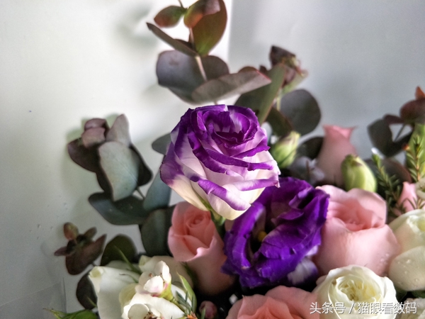 oppor9s和plus哪个好用,oppor9s和plus哪个值得买