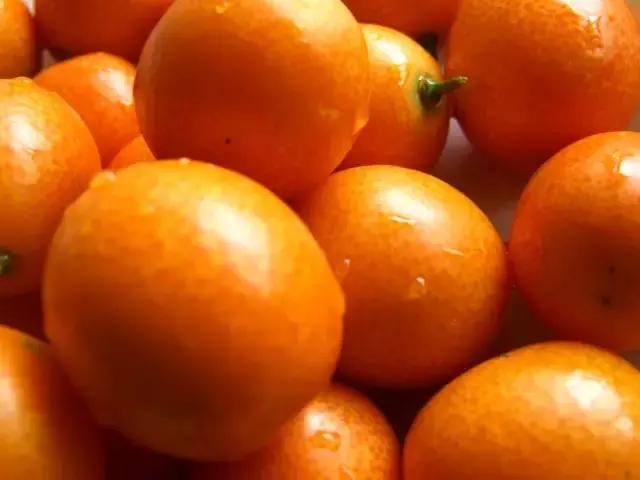 金桔小柠檬做法,小小金桔大妙用