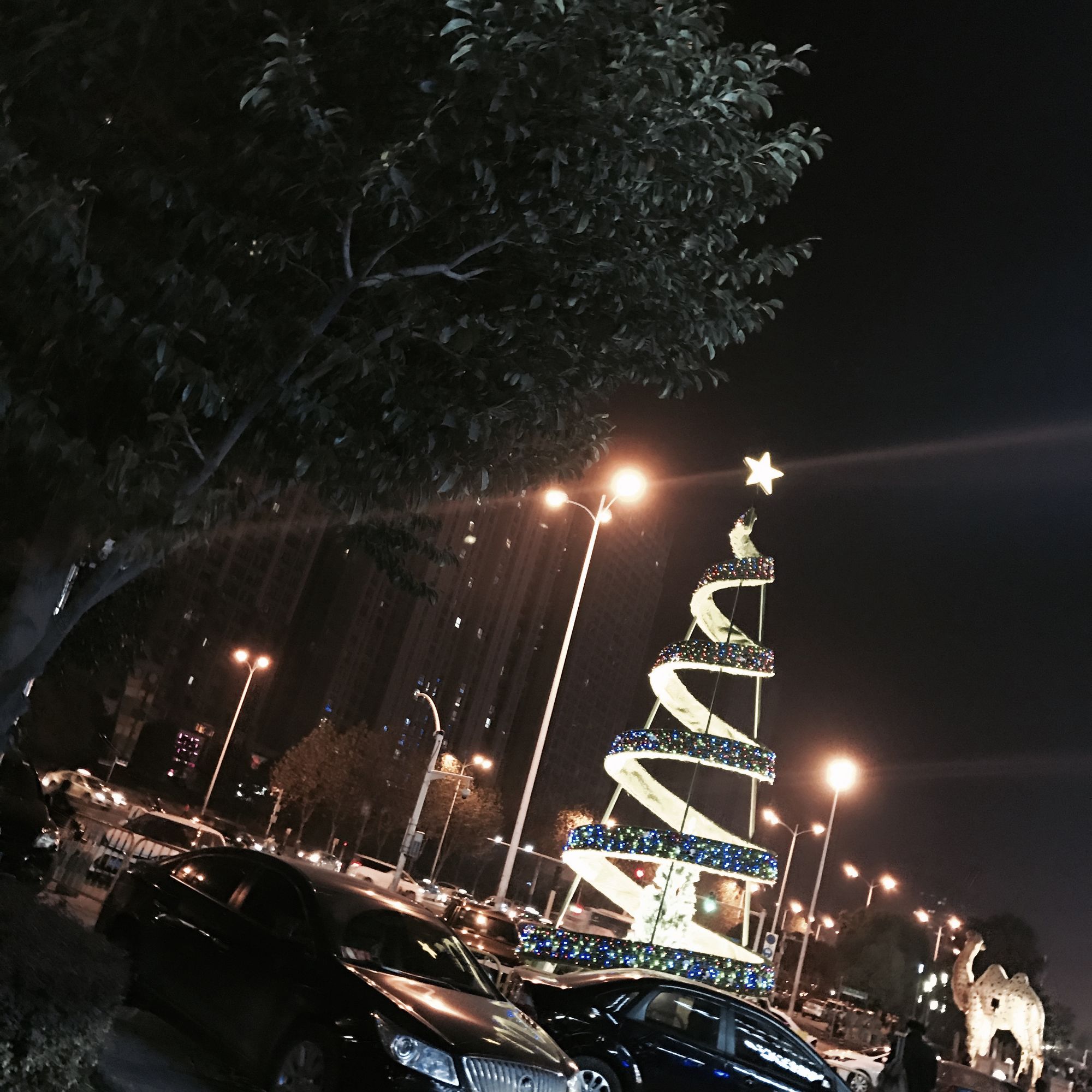 下一站你要去哪里肖桐,下一站你要去哪里歌曲