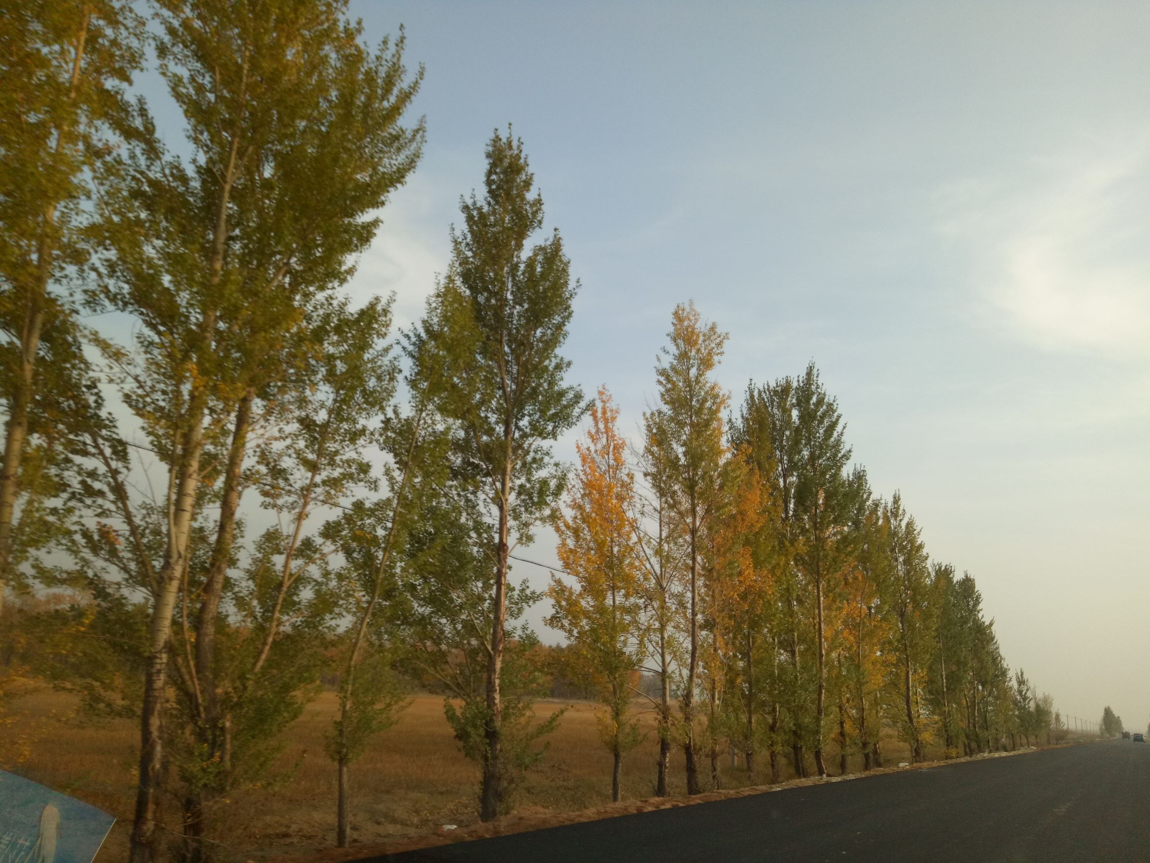 张北的草原天路之旅,张北天路攻略