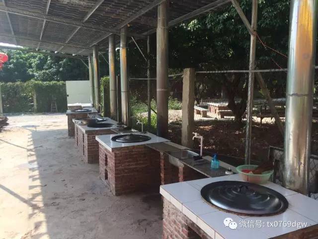 我和新春有个约会视频,我和新年有个约会600字作文