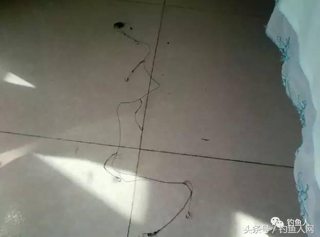 手把手教你串钩钓大鱼,学会钓技钓法