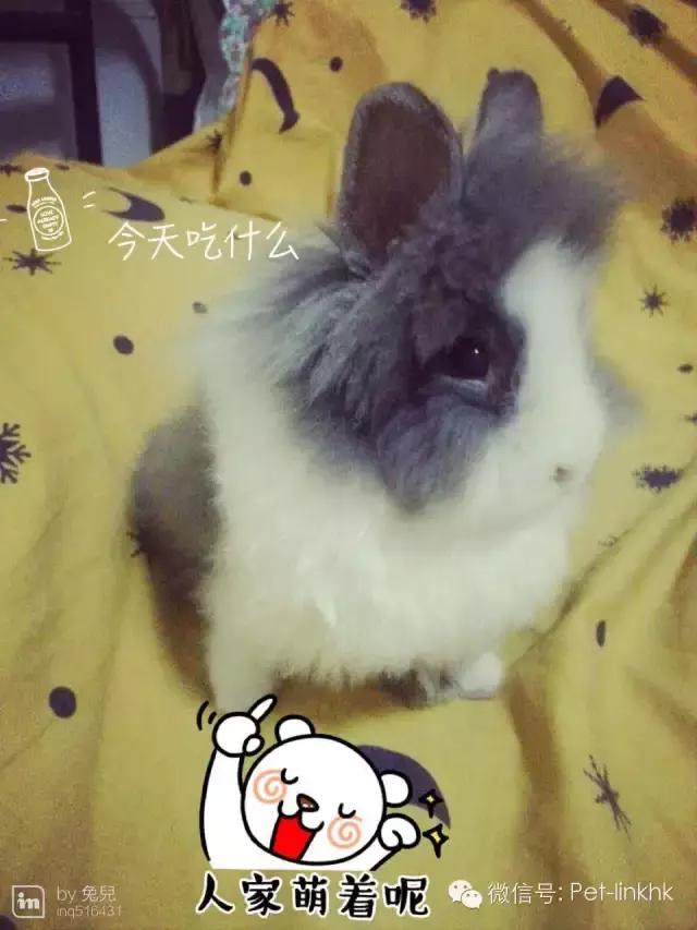 如何驯服不听话的对象,如何征服一匹不听话的马