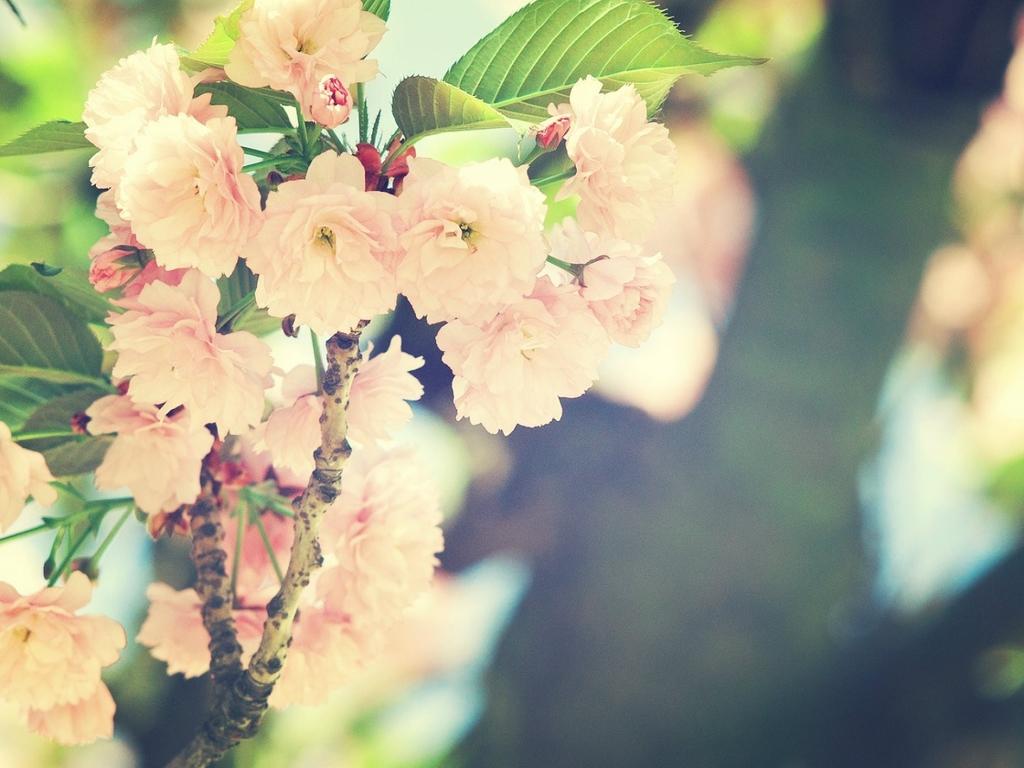 还记得那个抑郁自杀的走饭吗？让我们来重温下她的《走饭遗言》