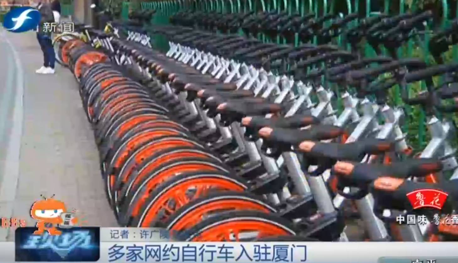 网约车绕圈厦门最新消息,网约车市场稳步前进