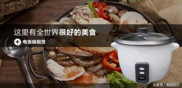 新西兰旅游驾车攻略图大全,新西兰自驾需要什么驾照