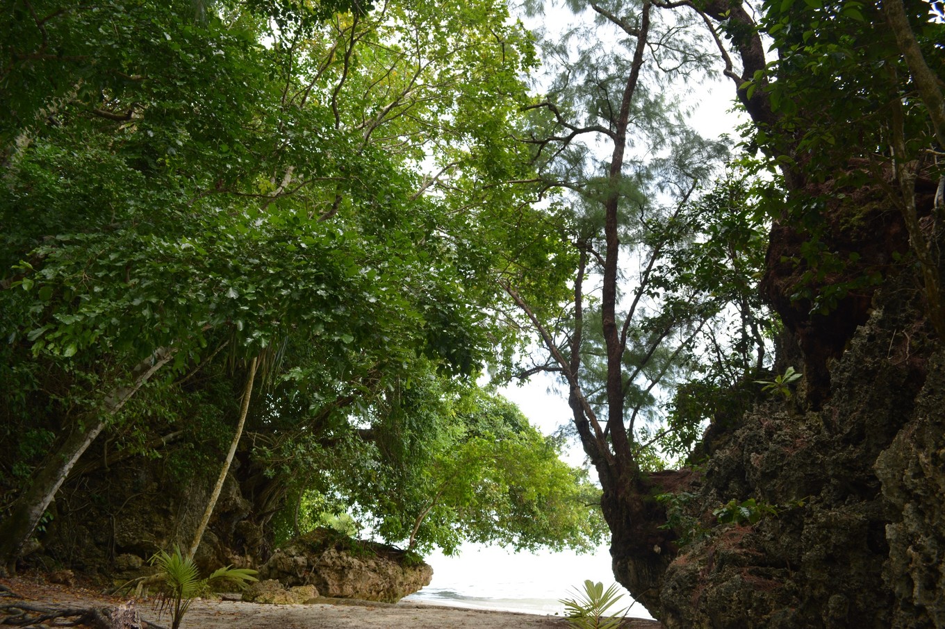 帕劳旅行攻略大全图文,帕劳旅行攻略图文大全