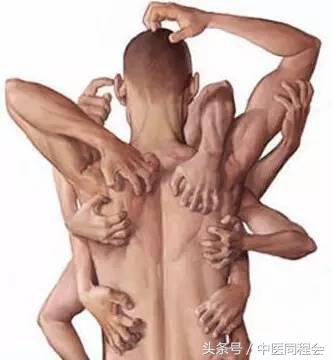 马齿苋可外敷治牙痛吗,马齿苋怎么治牙痛