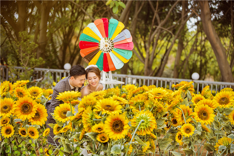 温暖冬季婚礼,寒冷的冬季温暖人心的婚礼