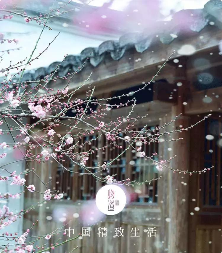 任尔东西南北风全诗隶书作品,任尔东西南北风上一句是啥