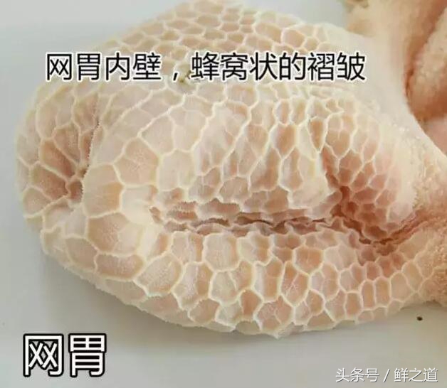 牛肚的部位分解图和吃法,牛肚养胃的做法