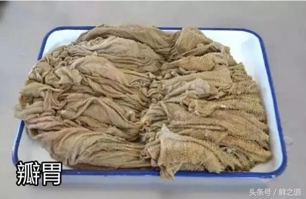 牛肚的部位分解图和吃法,牛肚养胃的做法