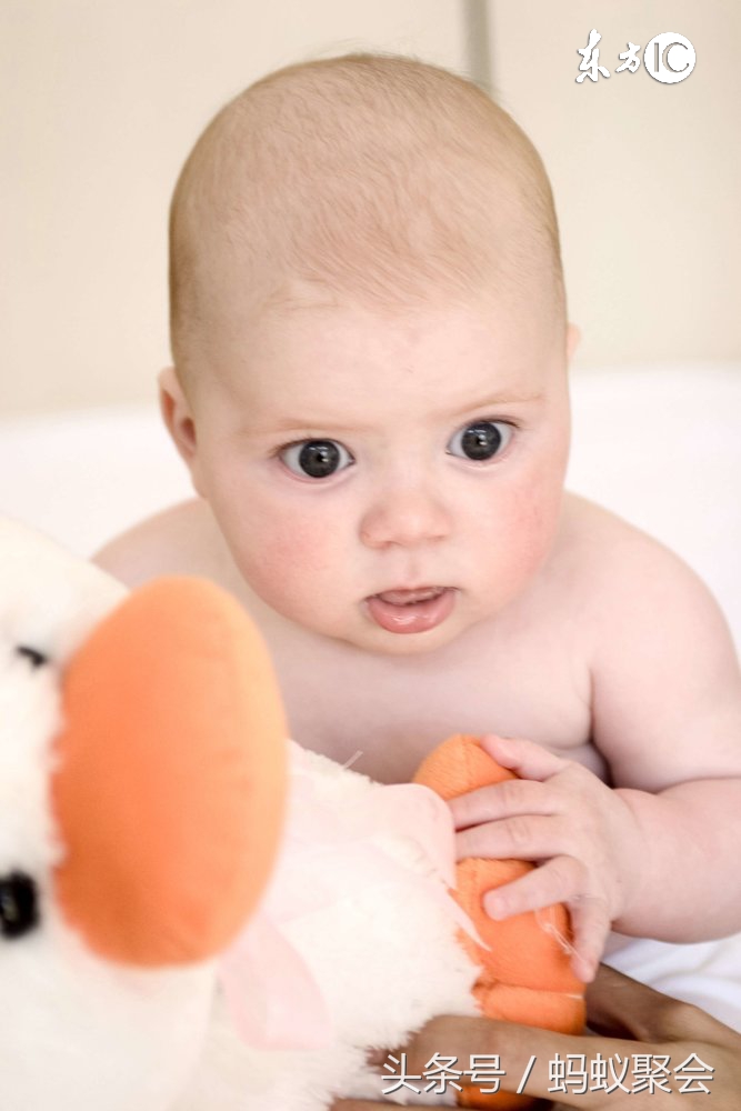 胎儿每月发育过程及营养情况,胎儿脑神经发育所需营养