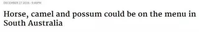 土澳的餐桌上不止有袋鼠肉了，负鼠，骆驼，驴子马肉统统上线了！