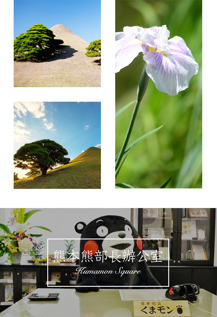 日本走起！相约熊本部长家乡那一些好玩的和好吃的