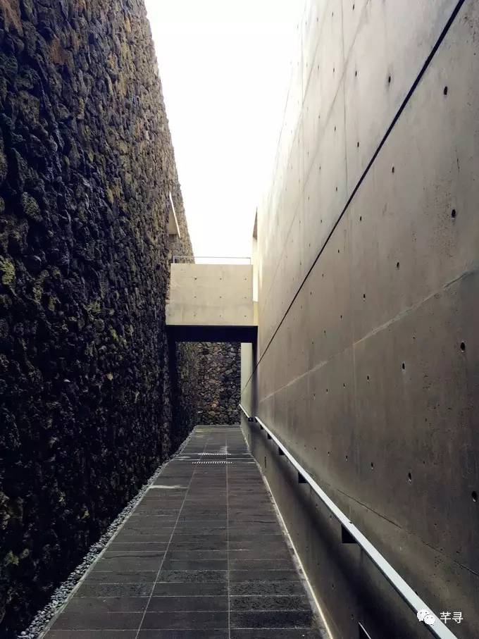 不止免签和免税店，还有各家爱豆，都在喊你去济州岛办婚礼！