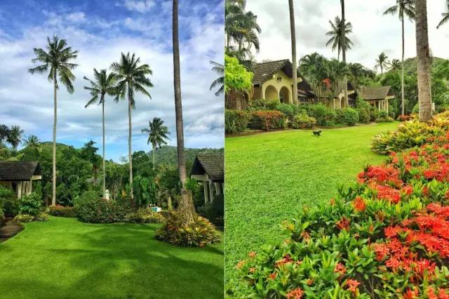 四川帅大叔暴改普吉岛民宿，用时4个月他活出了你最羡慕的样子