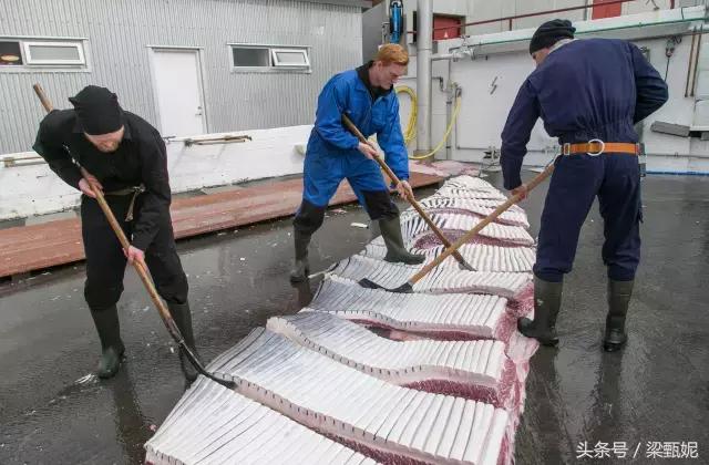 在挪威可以做什么工作,去挪威的十大禁忌