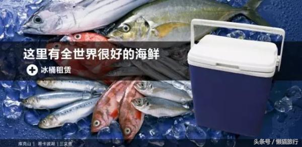 新西兰旅游驾车攻略图大全,新西兰自驾需要什么驾照