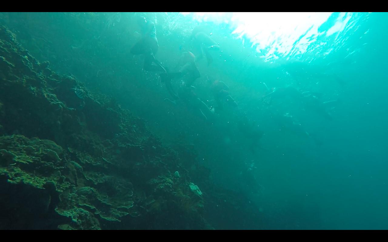 帕劳旅行攻略大全图文,帕劳旅行攻略图文大全