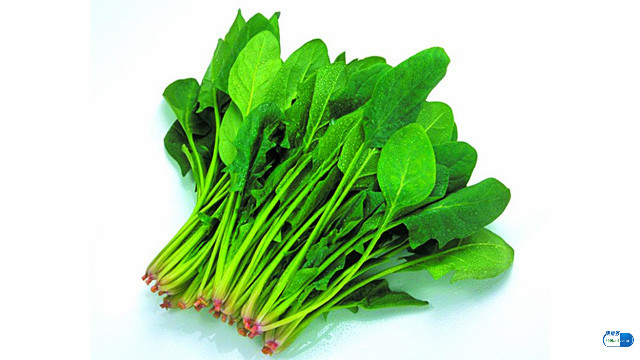 安胎护胎的食物有哪些,孕期吃哪些食物既营养又安胎