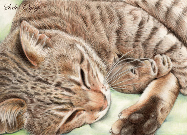 由简到繁绘画教程,由繁到简绘画四幅图