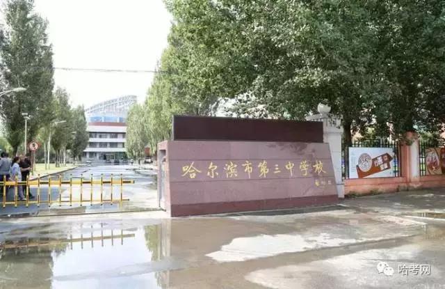 家长挤破头脑让孩子读重点学校,为什么家长挤破头进公立园