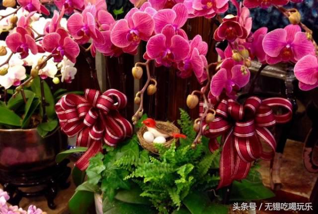 年货哪家靠谱呢,中国年货批发市场前十名