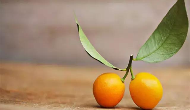 金桔小柠檬做法,小小金桔大妙用