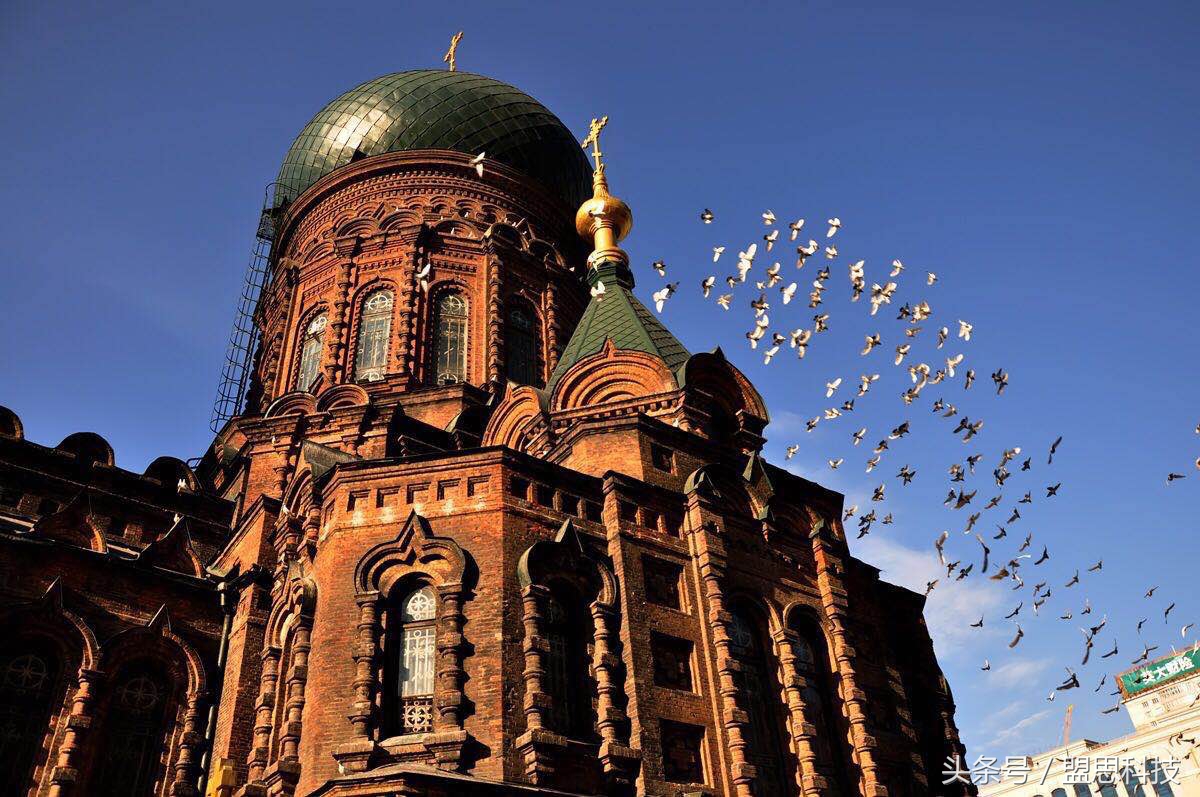 我的旅行记内蒙古,我的旅行日志完整版