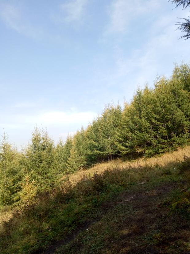 张北的草原天路之旅,张北天路攻略