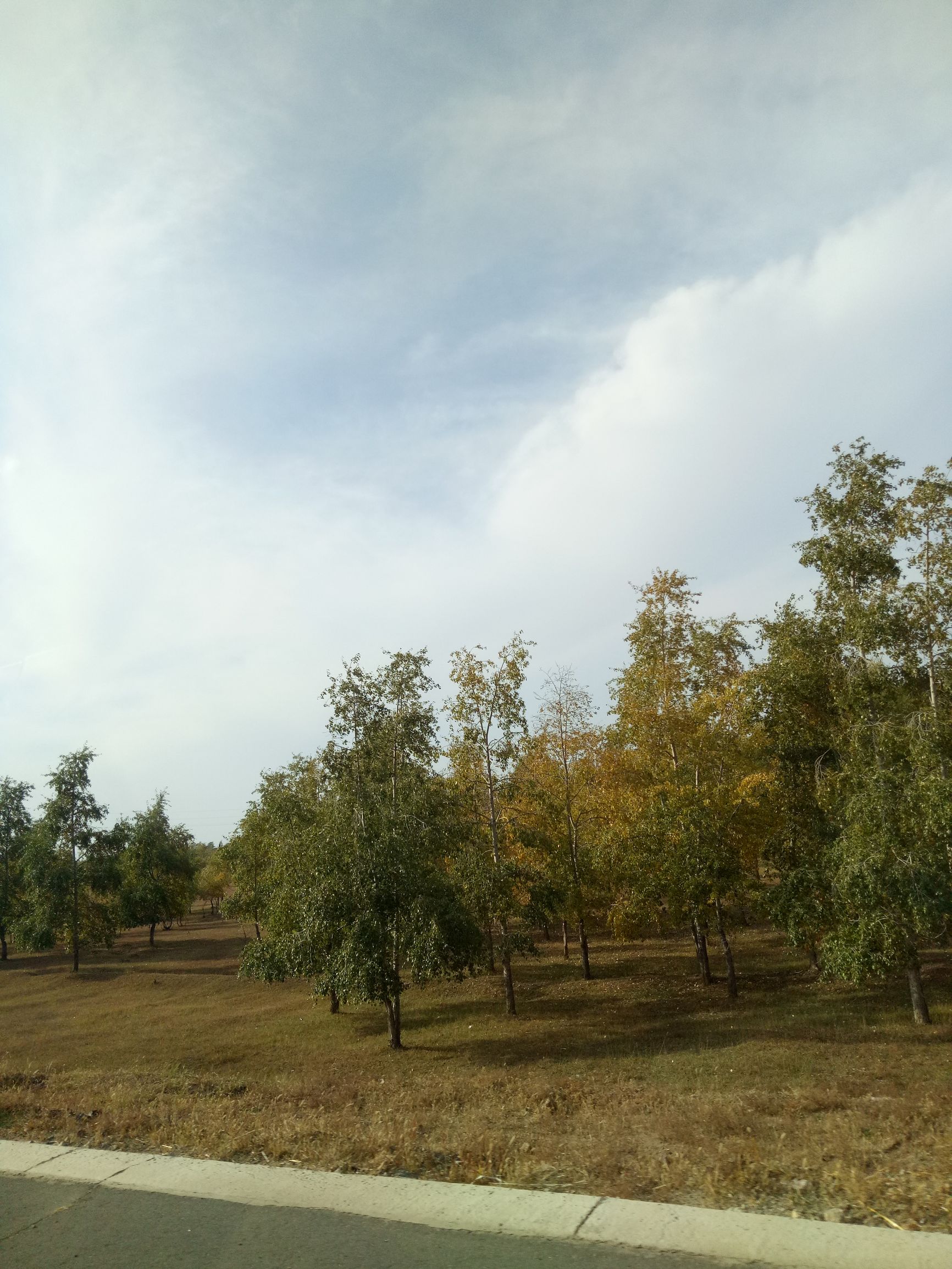 张北的草原天路之旅,张北天路攻略