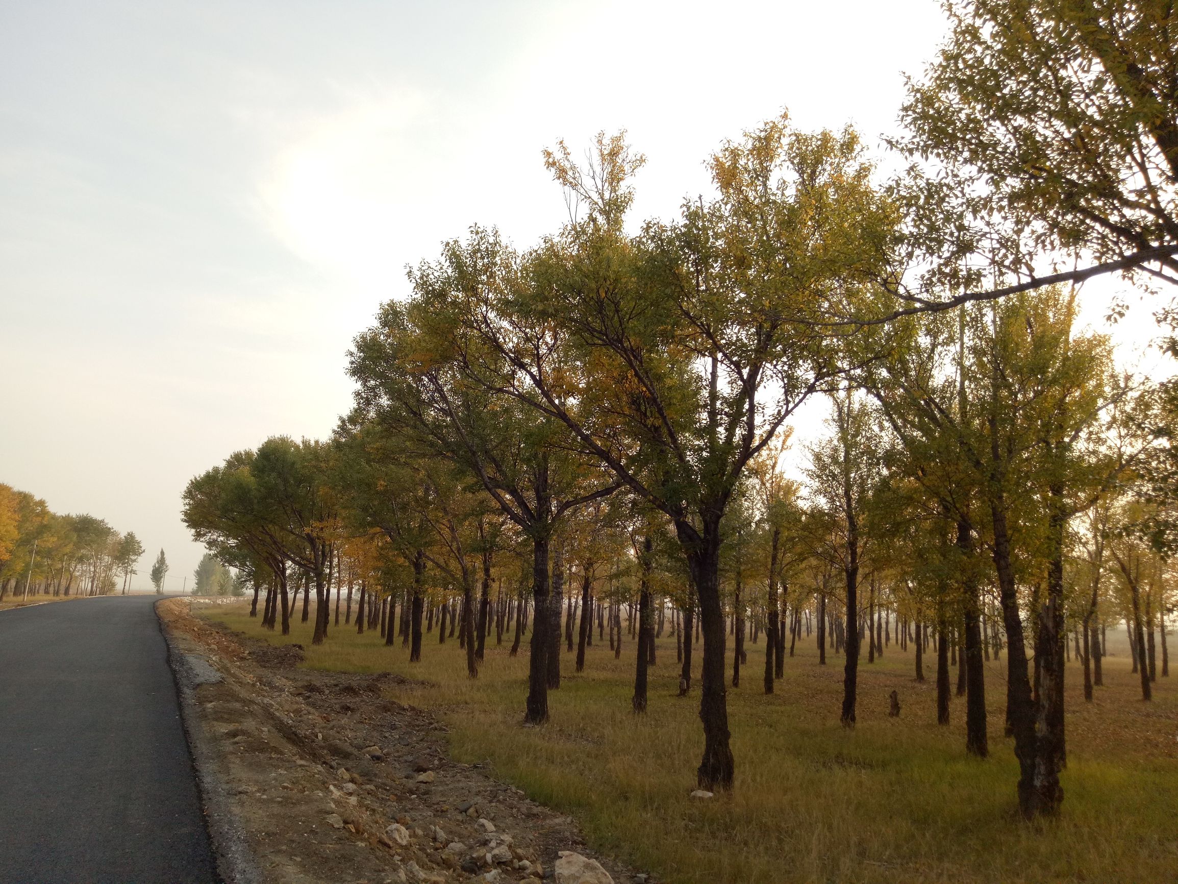 张北的草原天路之旅,张北天路攻略