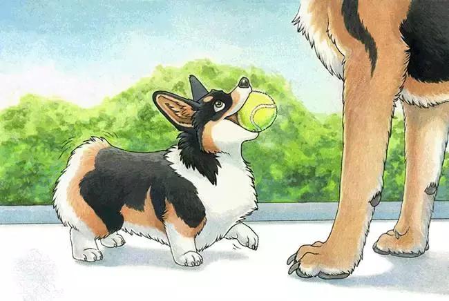 0-3岁必读的绘本,启蒙绘本0-3经典