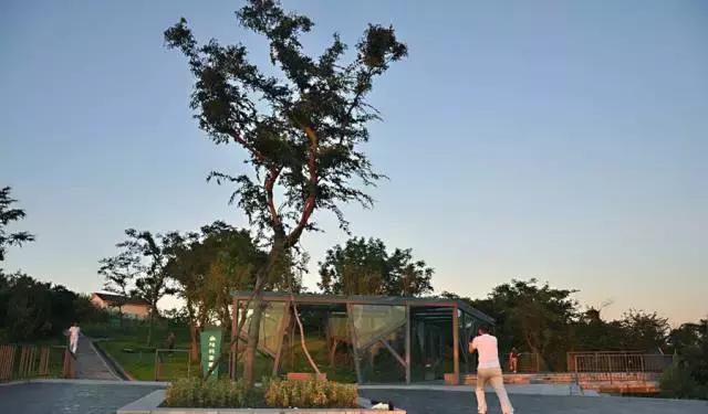 姜山最新规划,姜山未来5年规划