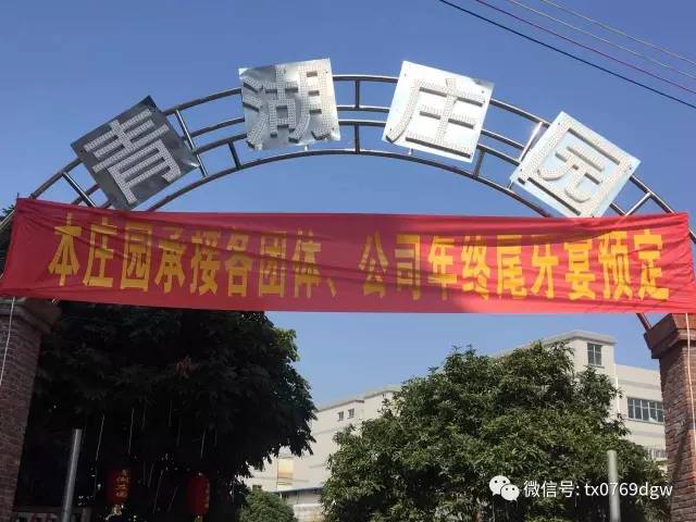 我和新春有个约会视频,我和新年有个约会600字作文