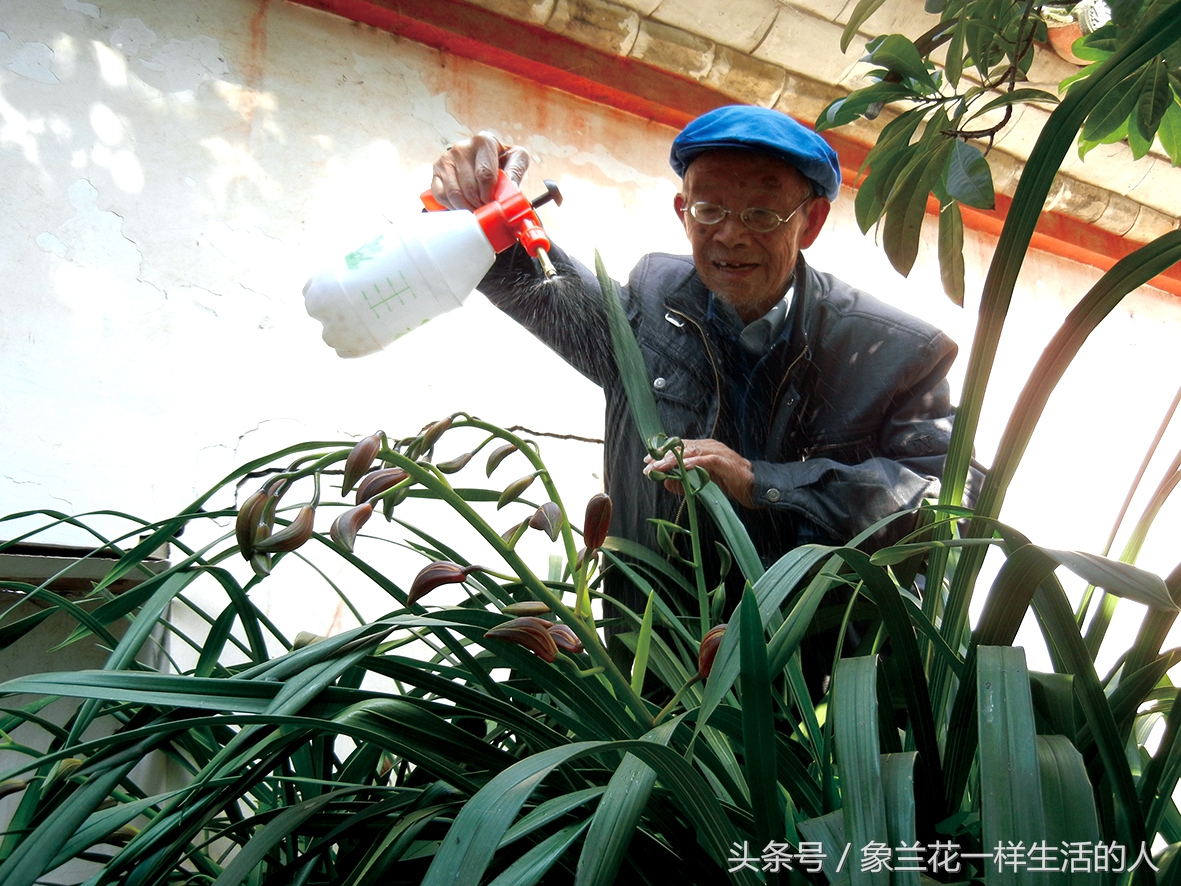 身体健康从步行开始,健康从步行开始