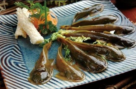 石爬子鱼有多少个品种,石爬子鱼的危害有多大