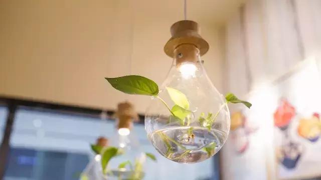 hit爆韩国的匹诺曹同款雪花冰降落北滘！