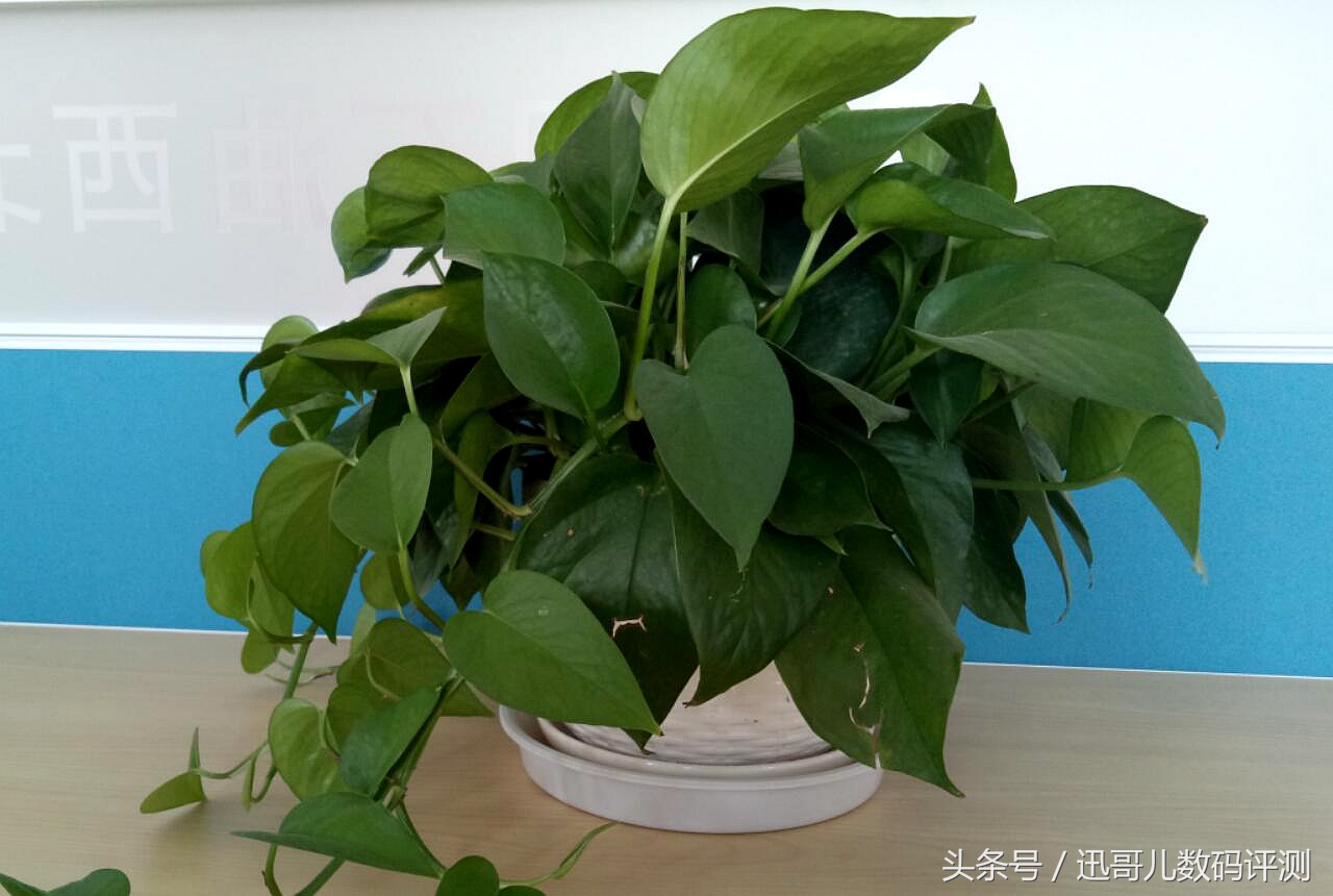 2019年魅蓝note5值得入手吗,魅蓝note6性能测评