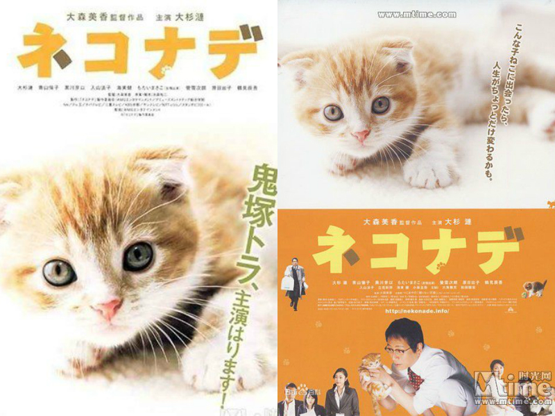 经典感人宠物电影大盘点,十大最暖心的宠物电影