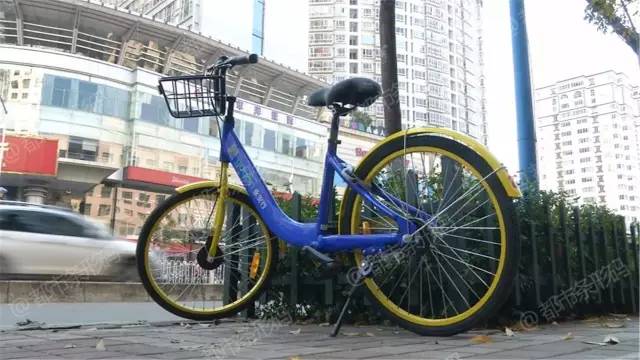 共享单车不规范停放建议,规范整顿共享单车的乱象