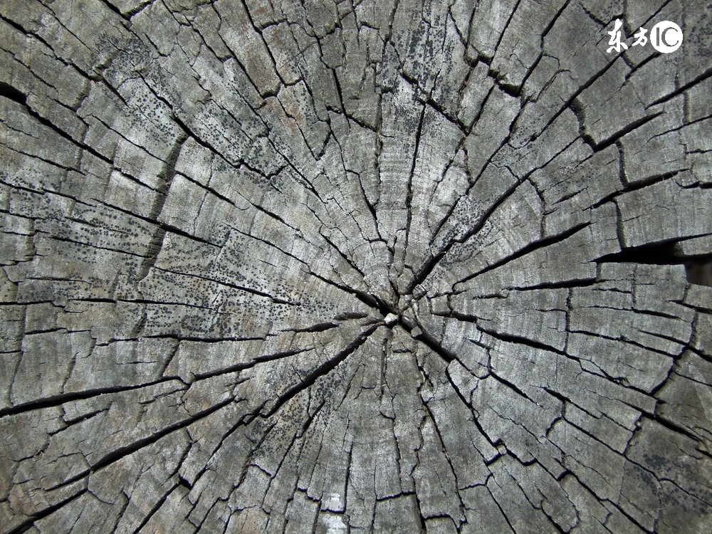 微信直邮免费领取,微信直邮技术是什么