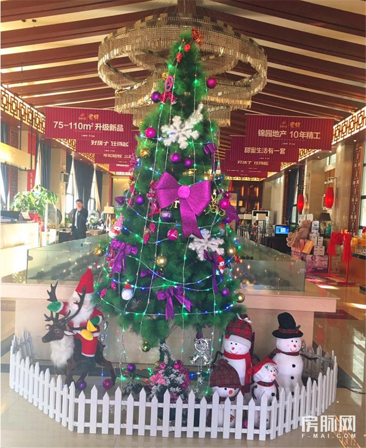 见证西安的发展,见证西安走进碑林