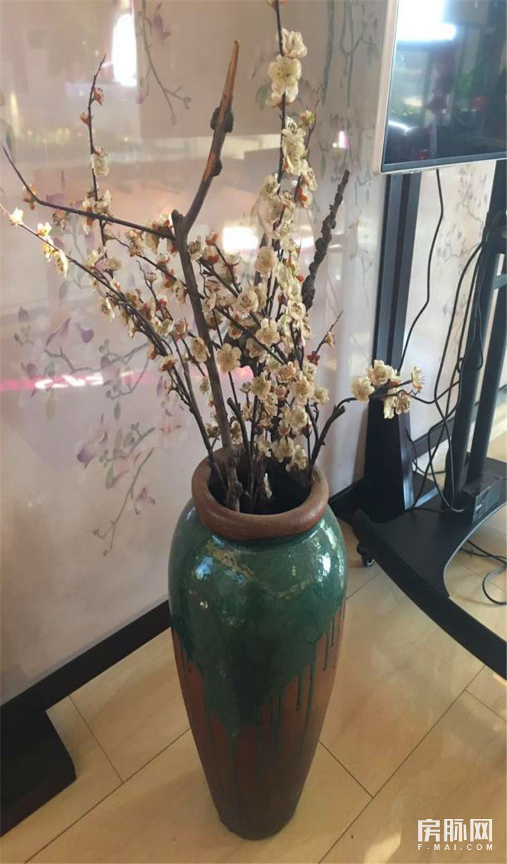 见证西安的发展,见证西安走进碑林