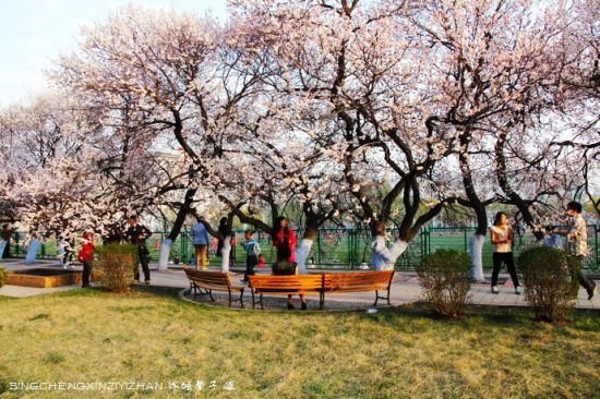 黑龙江法学系排名,黑龙江省哪个法学系好