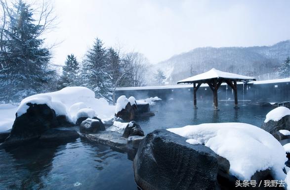 霓虹国之旅,霓虹国初印象